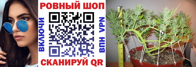 Продажа наркотиков Нелидово Гашиш Метадон АМФ Меф мяу мяу СОЛЬ Конопля