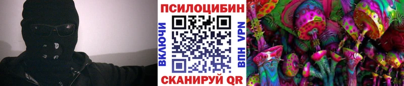 Галлюциногенные грибы Cubensis  Нелидово 